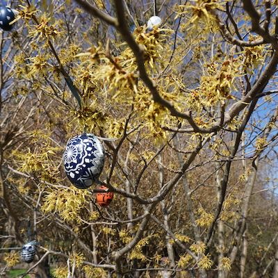 „Wie schön! – Wie schön!“