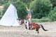 Action Show mit Pferden