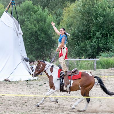 Action Show mit Pferden