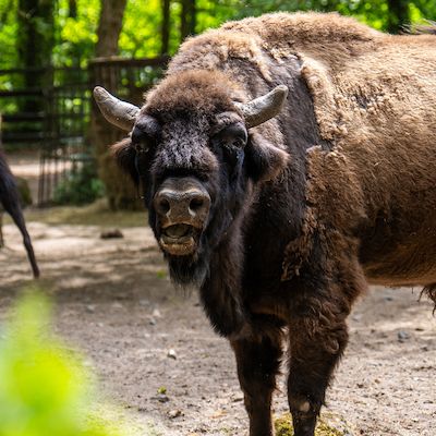Sonntagsführung im Zoo Rostock