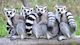 Kindertag im Zoo Rostock