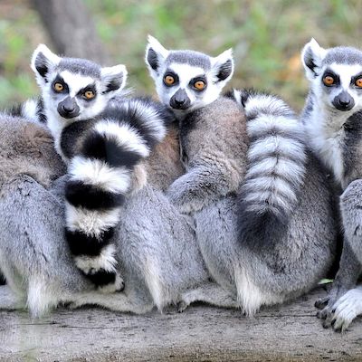 Kindertag im Zoo Rostock