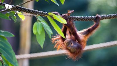 Tage des Artenschutzes und der Biodiversität im Zoo Rostock