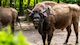 Sonntagsführung im Zoo Rostock