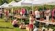 Kinderflohmarkt im Zoo Rostock