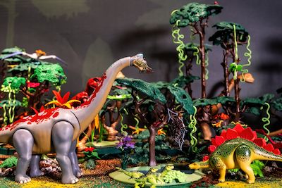 Die Evolution der Tiere mit PLAYMOBIL