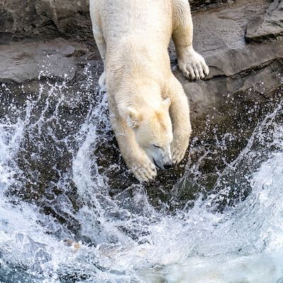 Ferienprogramm im Zoo Rostock