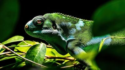 Foto-Workshop im Zoo Rostock