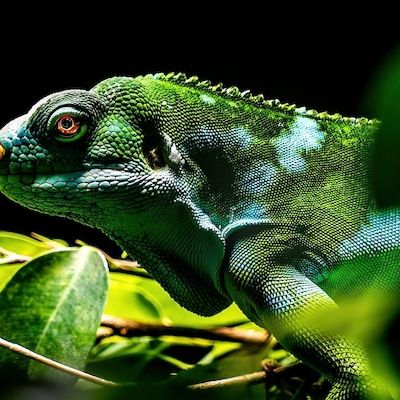 Foto-Workshop im Zoo Rostock