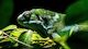 Foto-Workshop im Zoo Rostock
